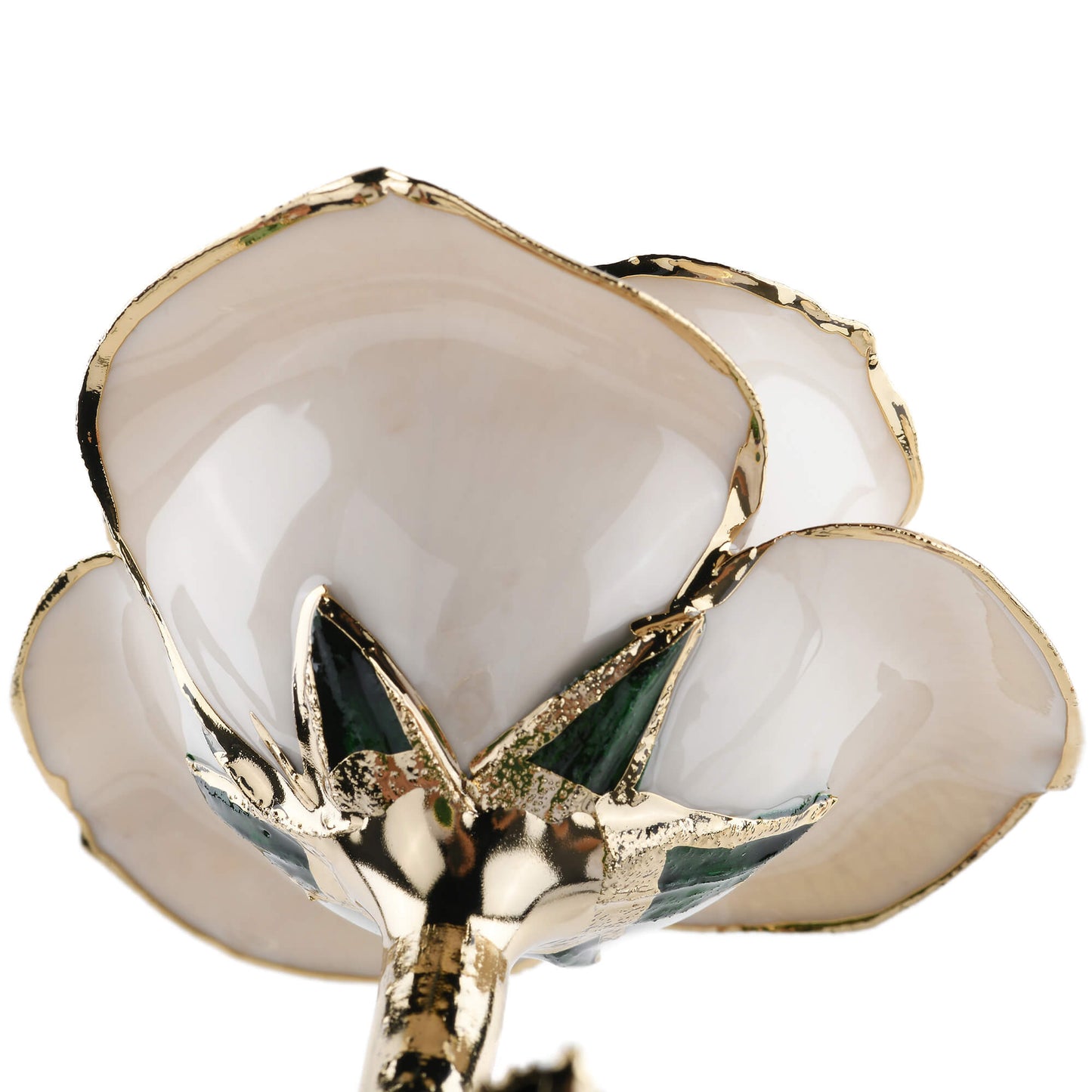 Timeless Rose (White) - Concordia Style Boutique