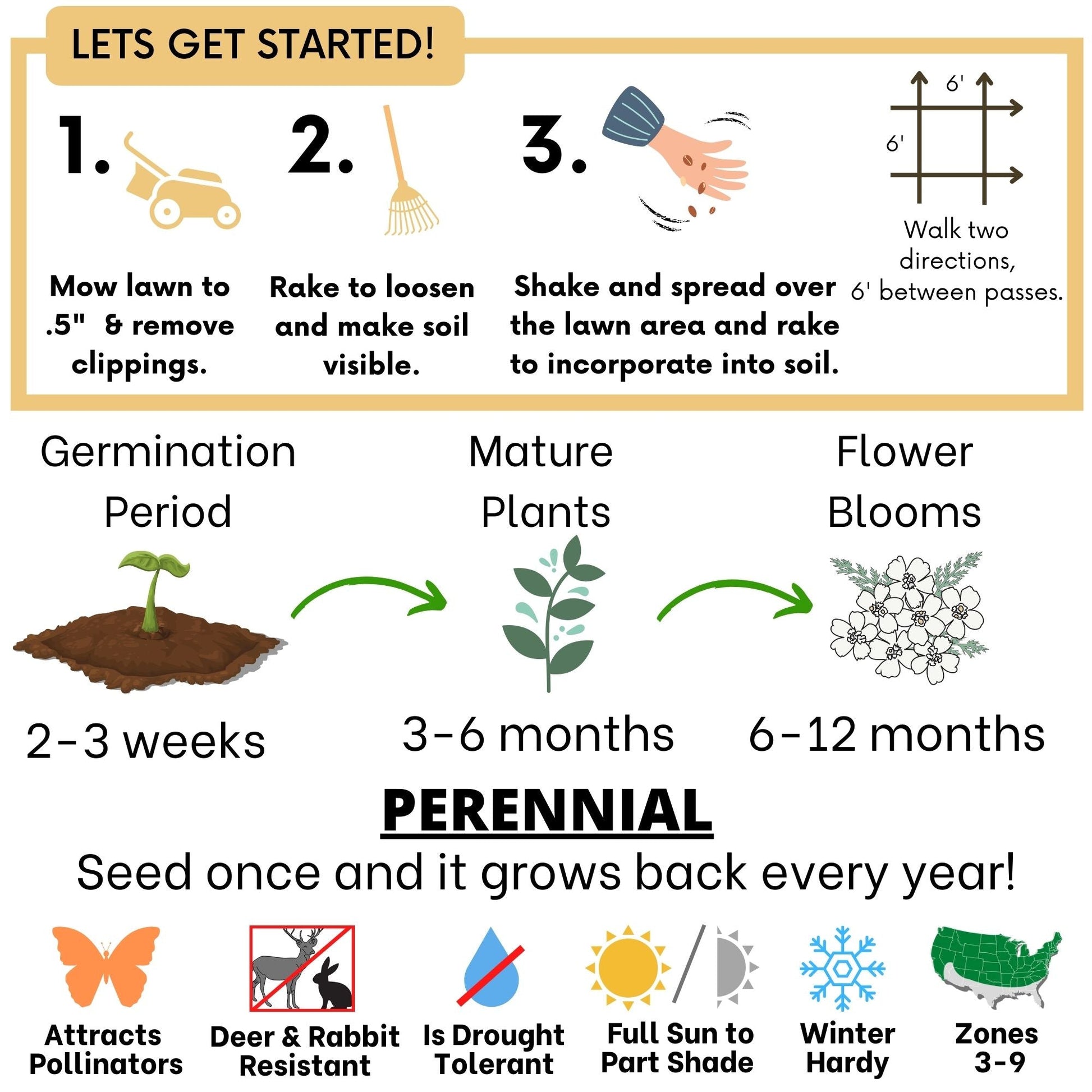 White Yarrow Seed Pouch - Concordia Style Boutique