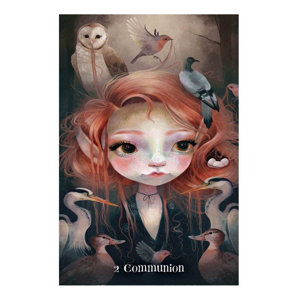Wisdom of the Wild Things Oracle - Concordia Style Boutique