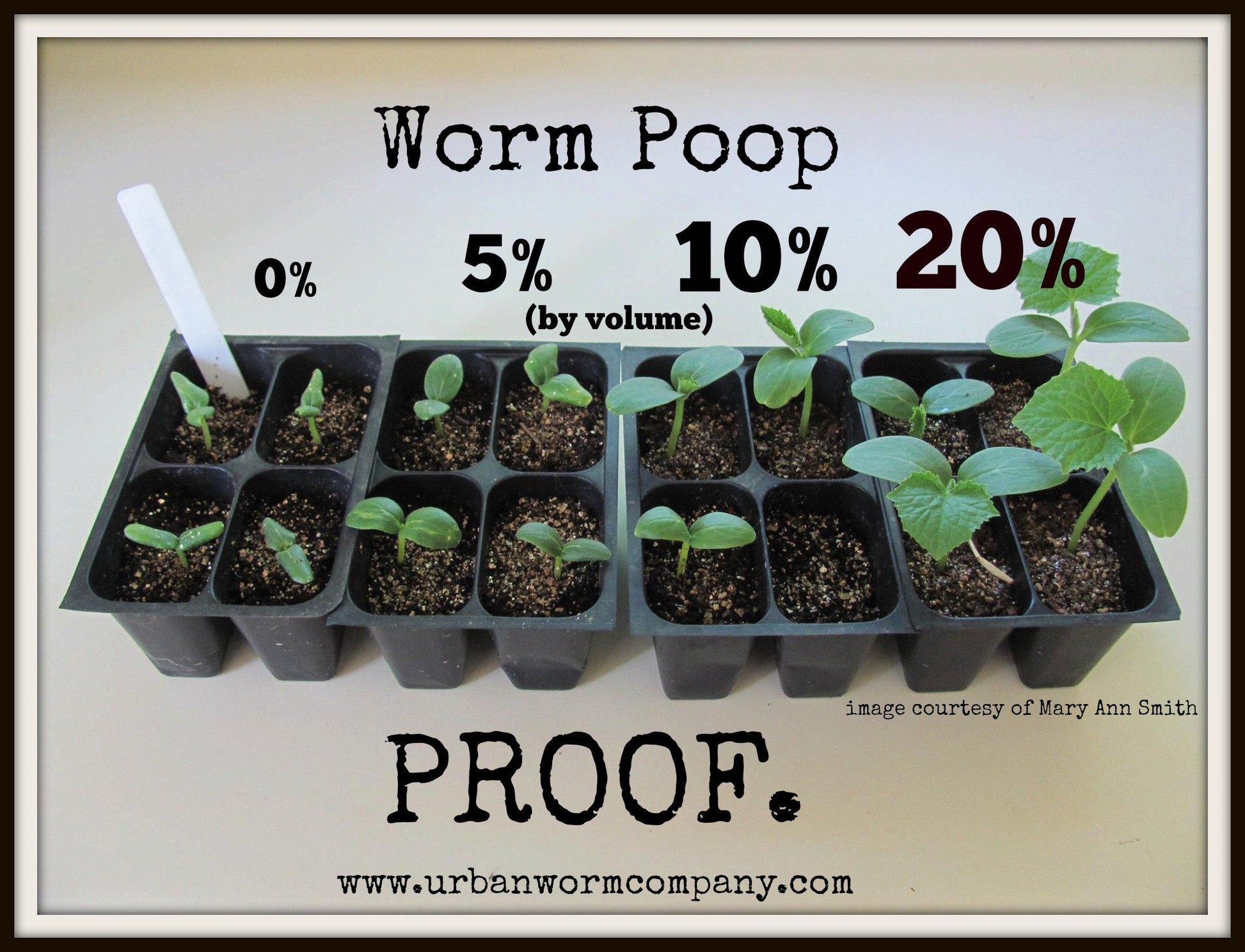 Urban Worm Company Worm Castings - Approved for Organic Use - Concordia Style Boutique