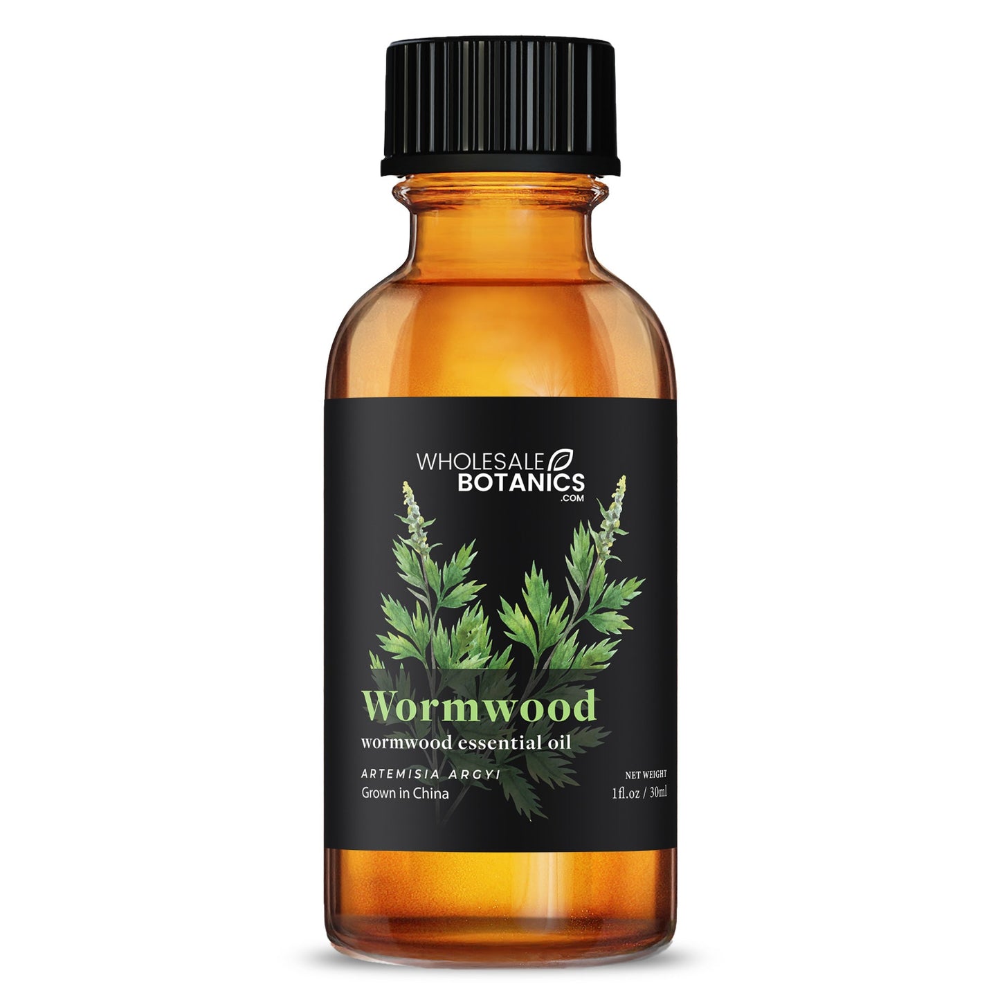 Wormwood Essential Oil