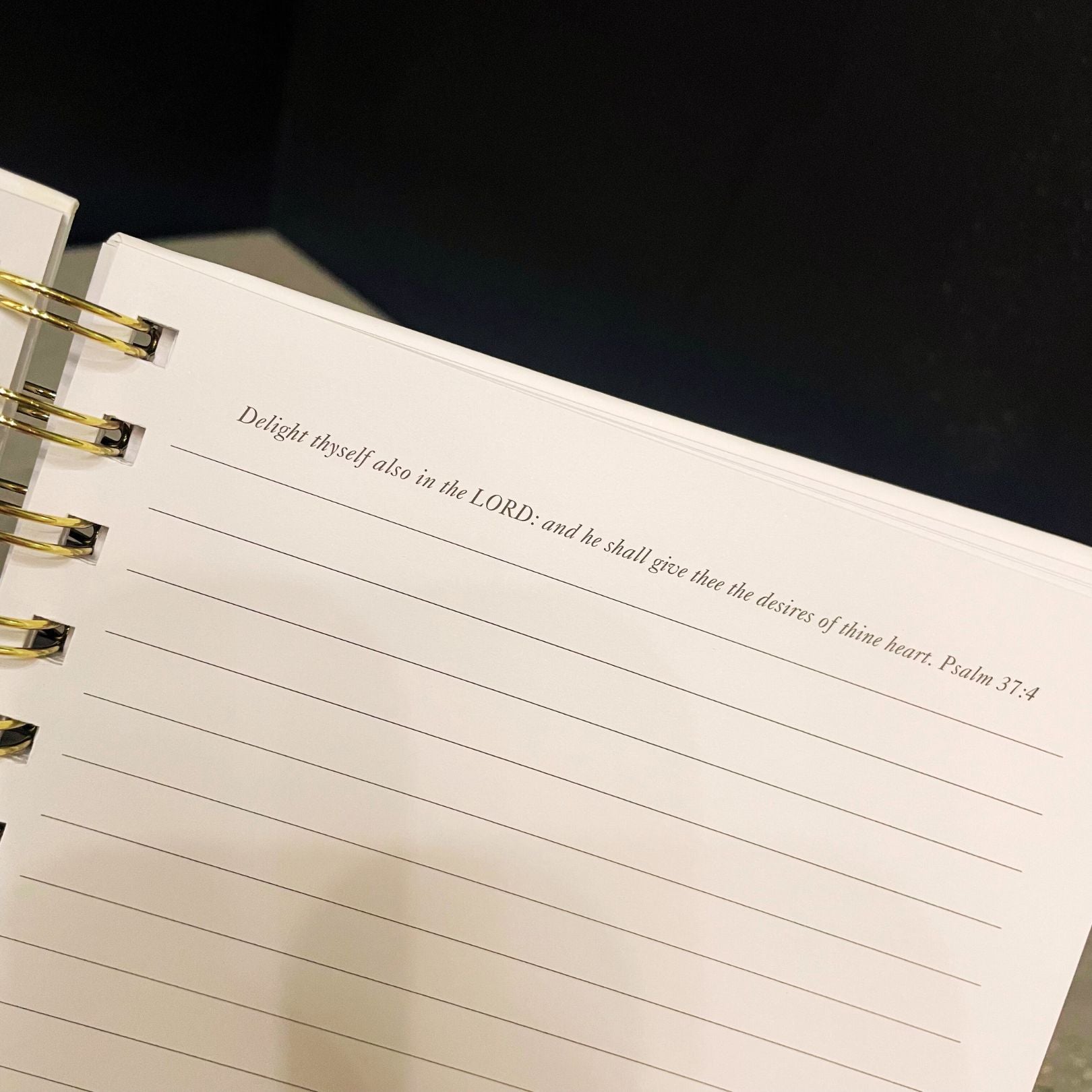 Write On Time Journal | 6.25" x 8.5" - Premium Journal from The Bullish Store - Just $12.95! Shop now at Concordia Style Boutique