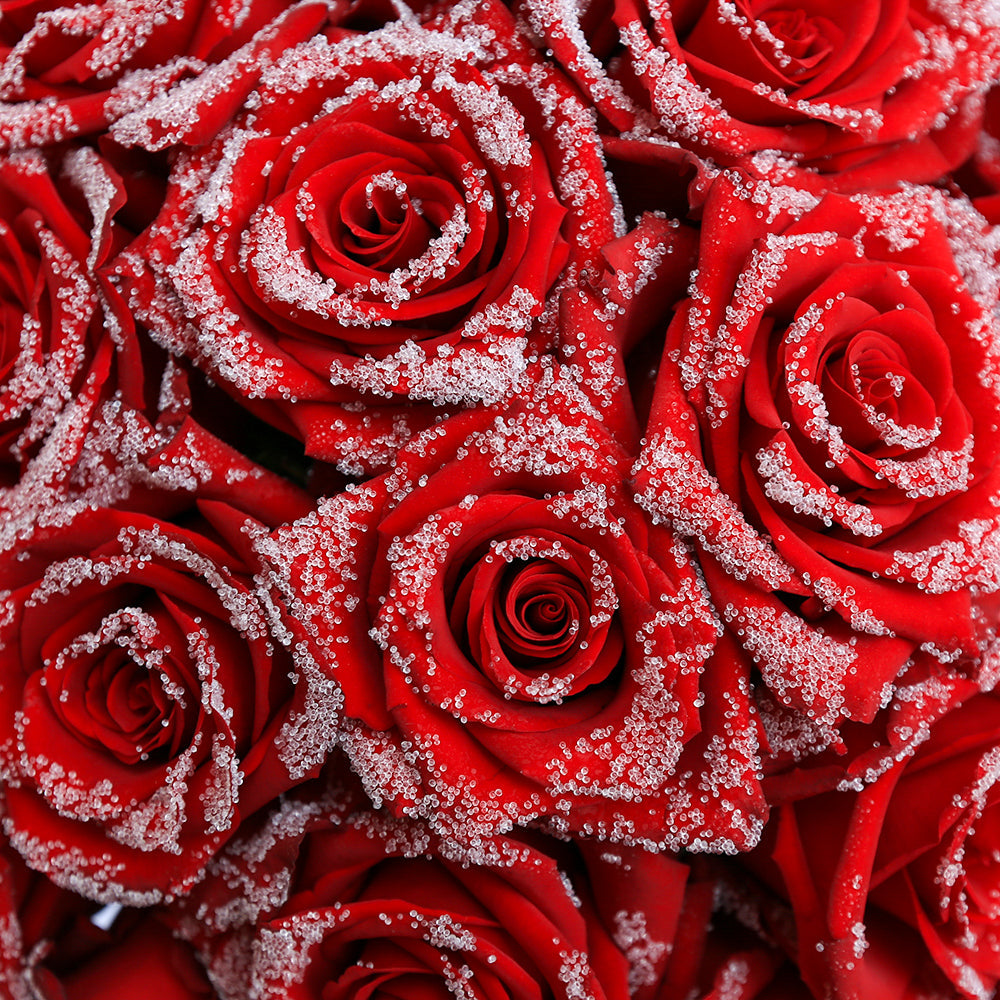 RED VELVET
