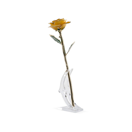 Timeless Rose (Yellow) - Concordia Style Boutique