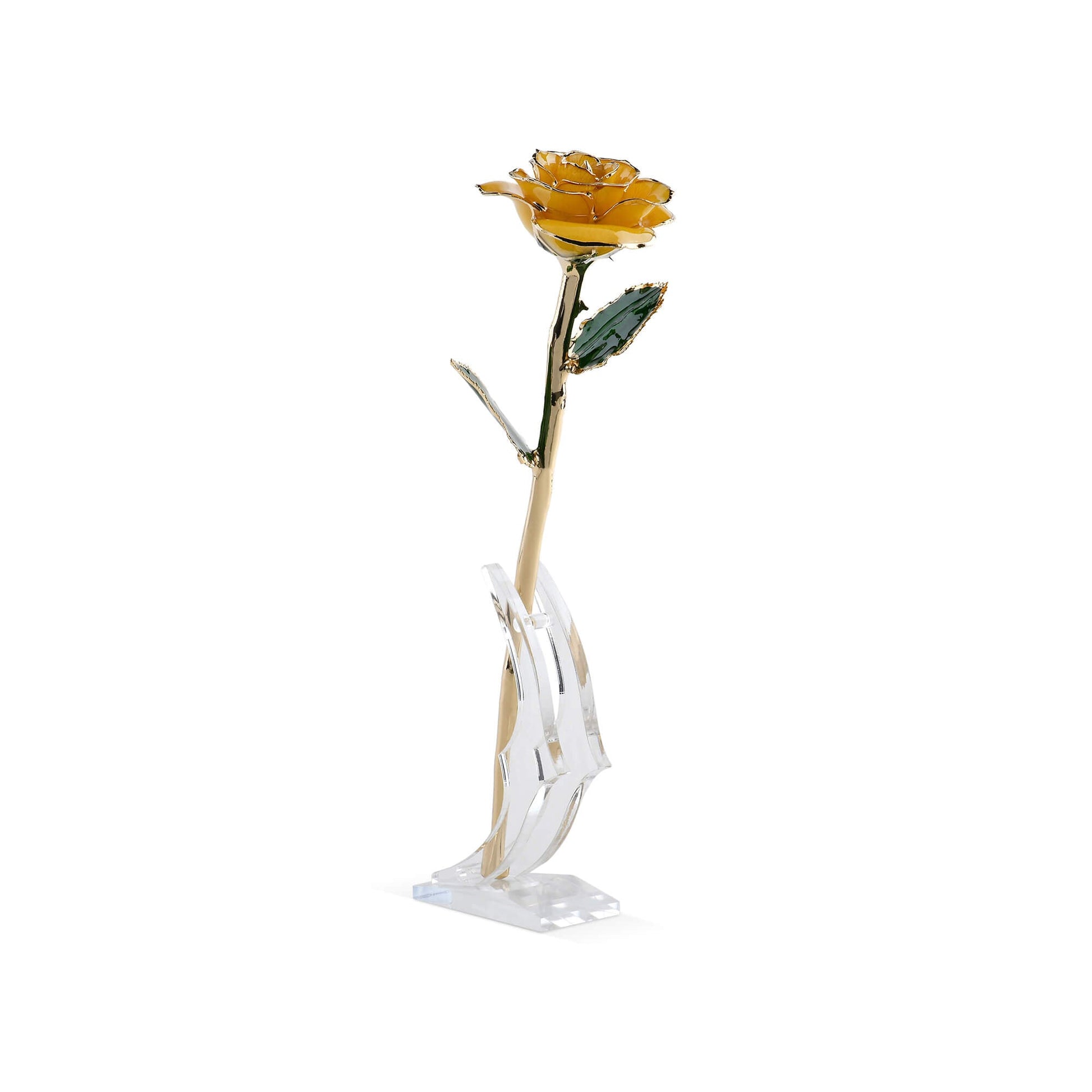 Timeless Rose (Yellow) - Concordia Style Boutique