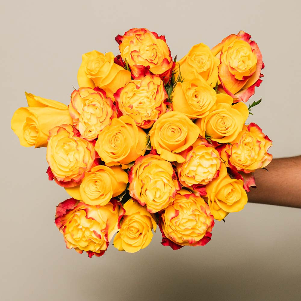 YELLOW EXPLOSION