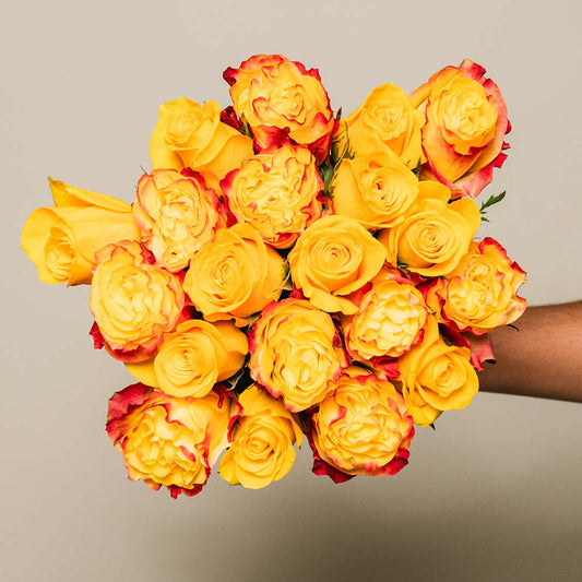 YELLOW EXPLOSION