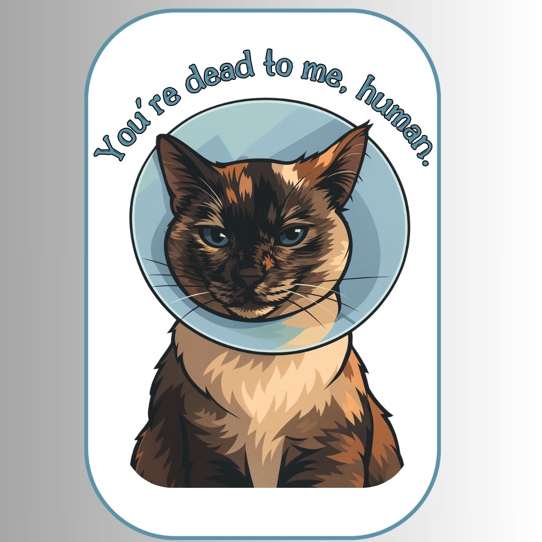"You're dead to me, human." Sarcastic Cat Sticker