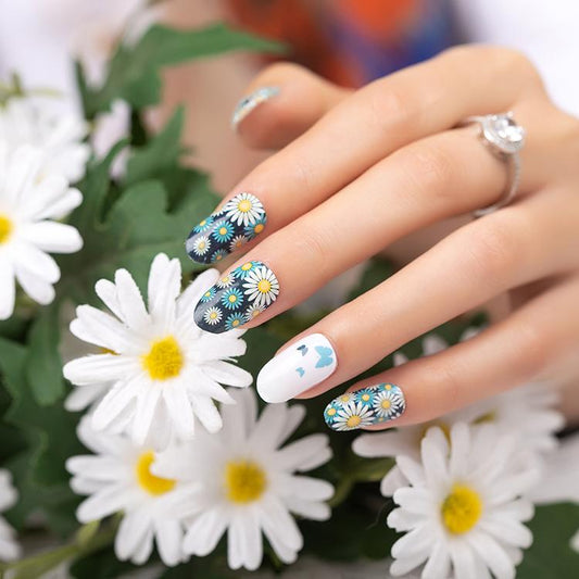 Daisy's and Butterflies