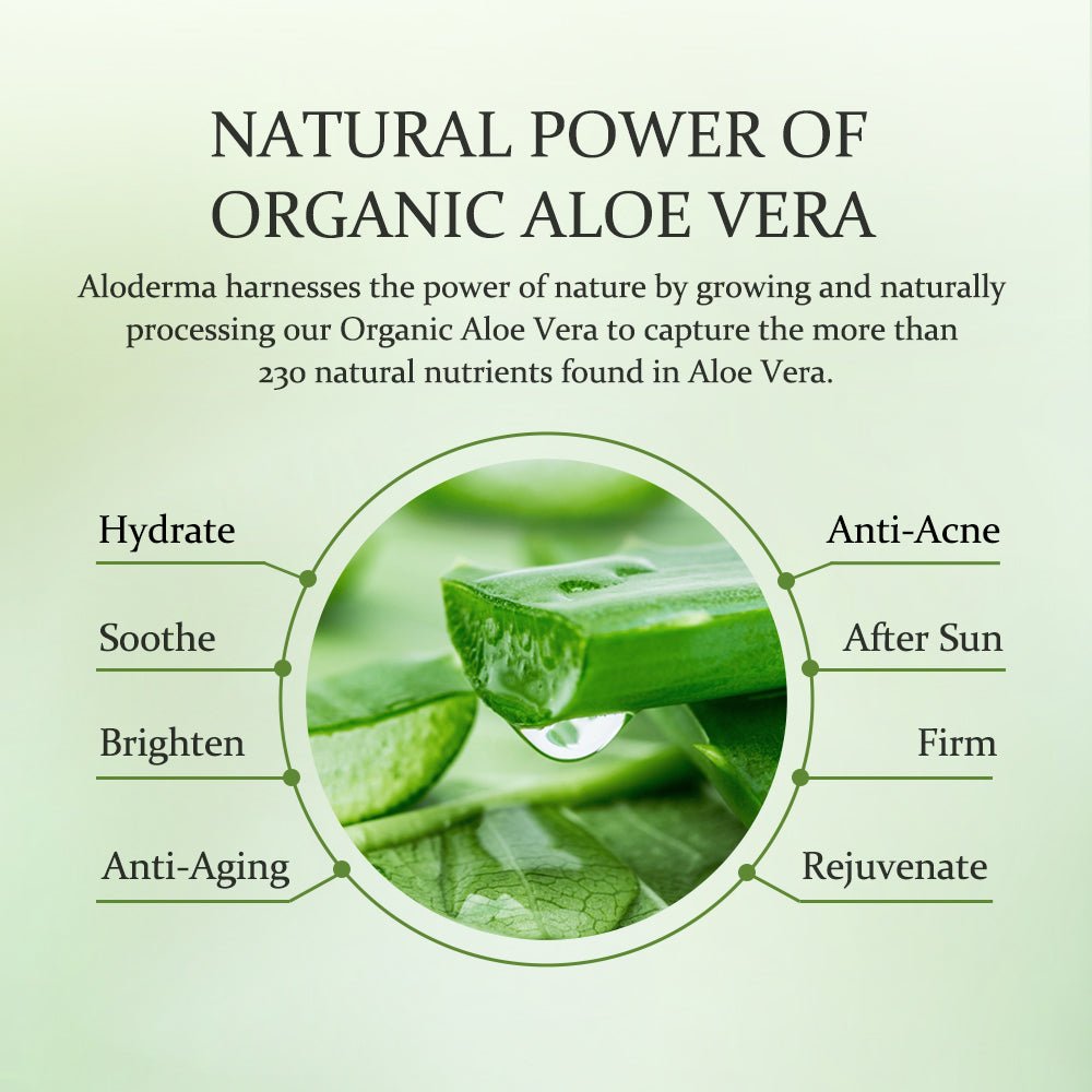 ALODERMA Pure Aloe Vera Gel - 45g - Concordia Style Boutique