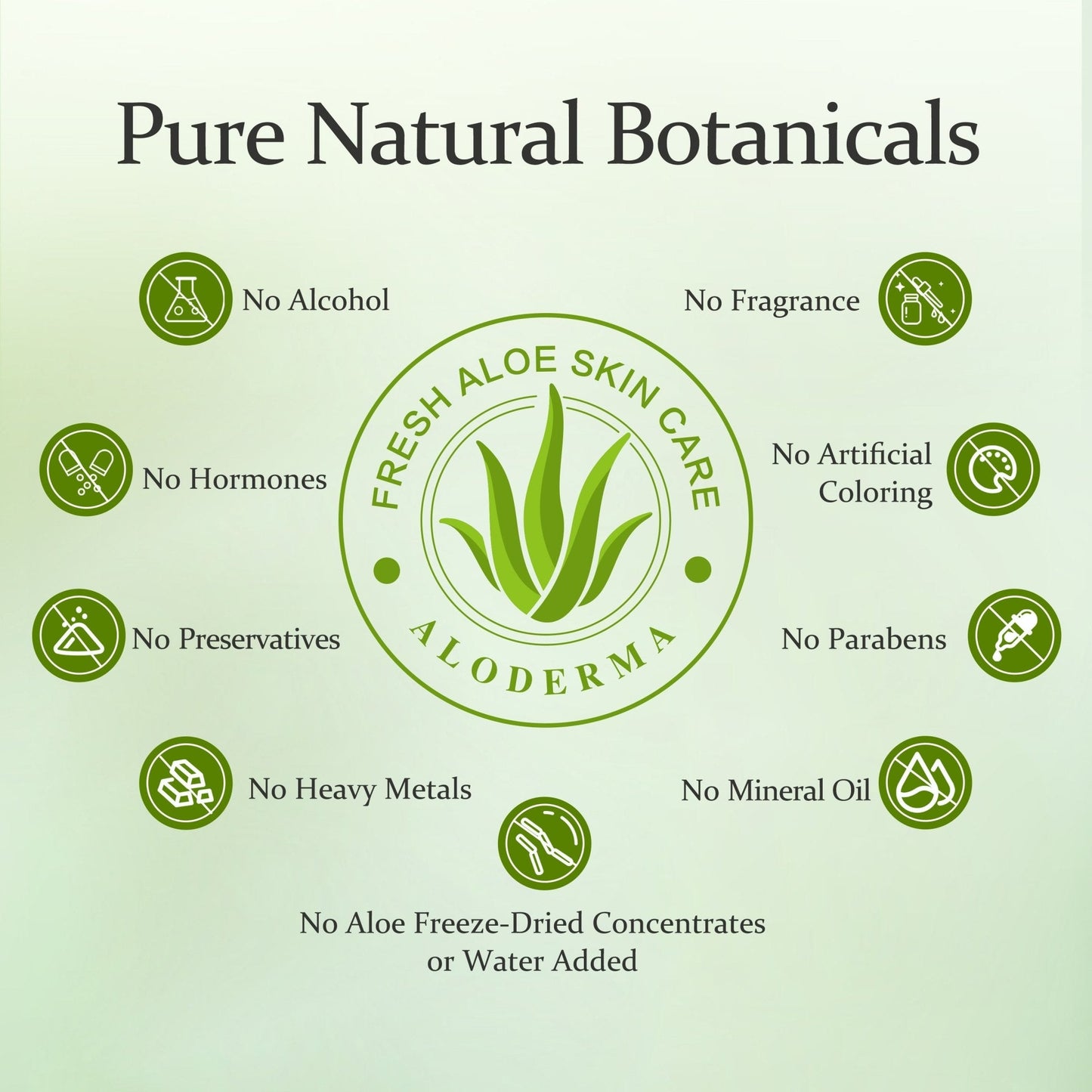 ALODERMA Pure Aloe Vera Gel - 45g - Concordia Style Boutique