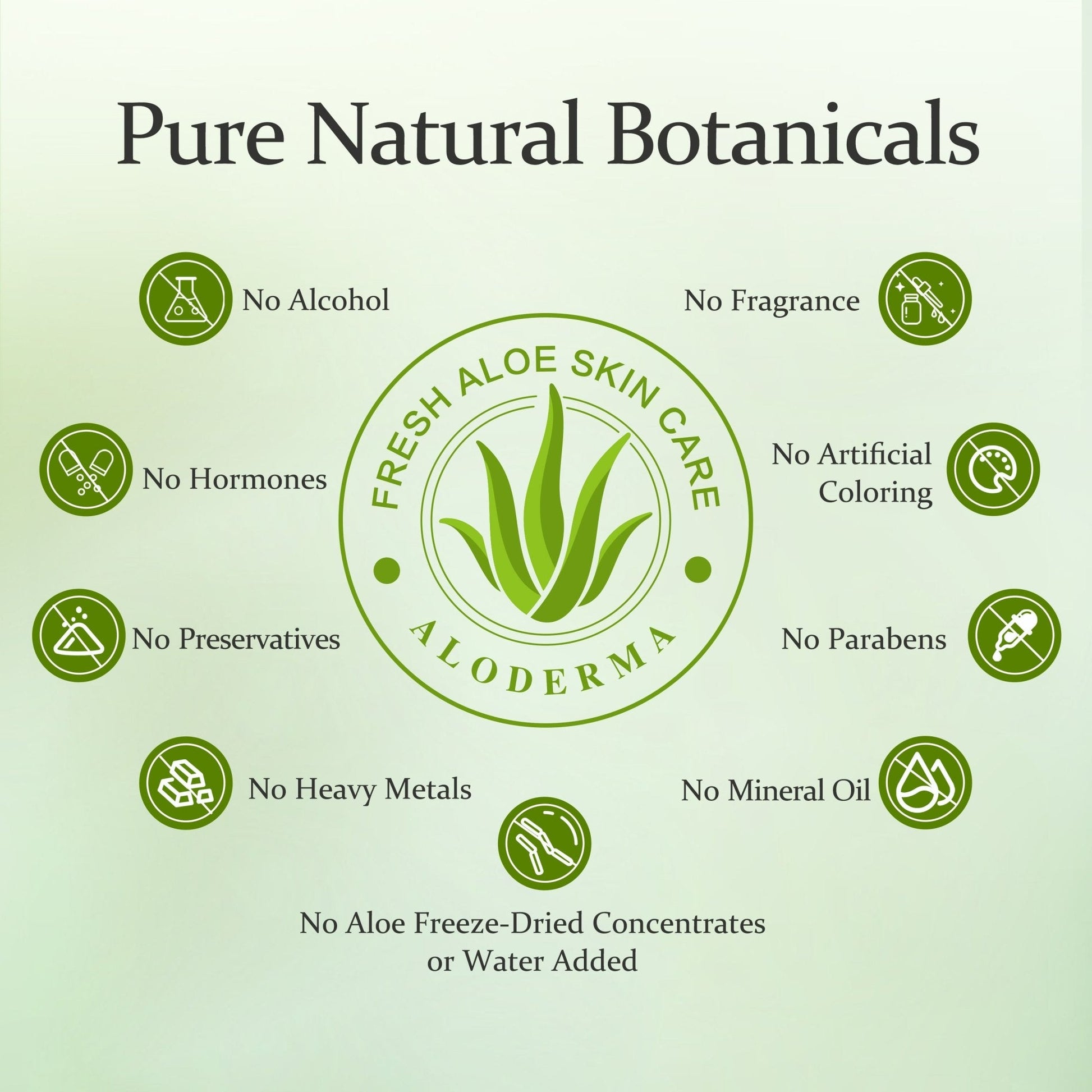 ALODERMA Pure Aloe Vera Gel - 45g - Concordia Style Boutique