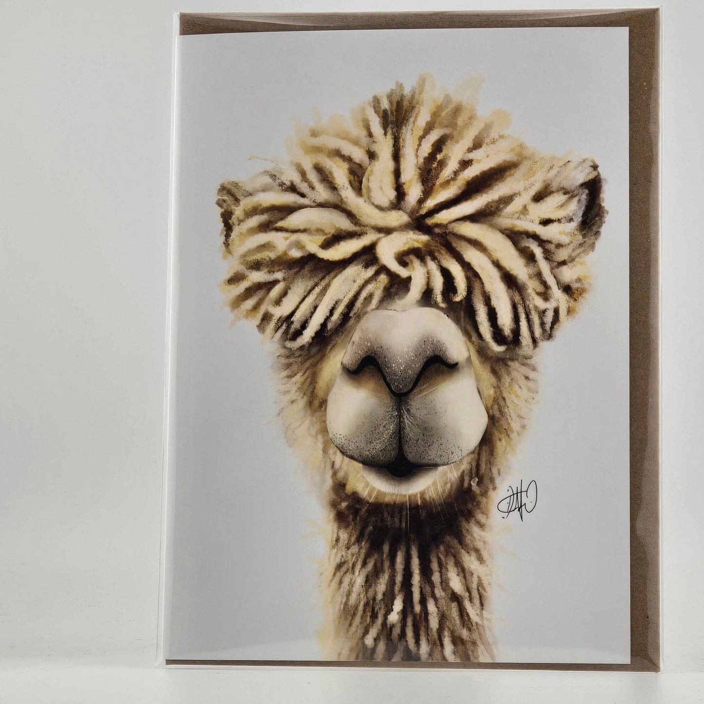 Alpaca Greeting Card - CoolPaca