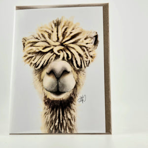 Descriptive image text