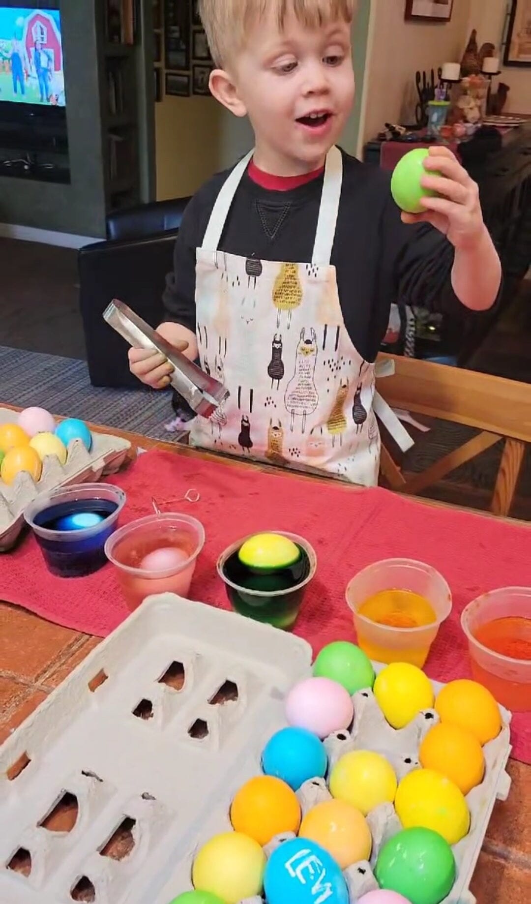 Alpaca Kitchen Tea Towel, Oven Mitt + Pot Holder, Grocery Tote Bag