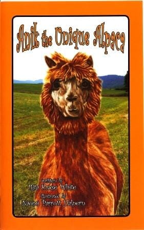 Descriptive image text