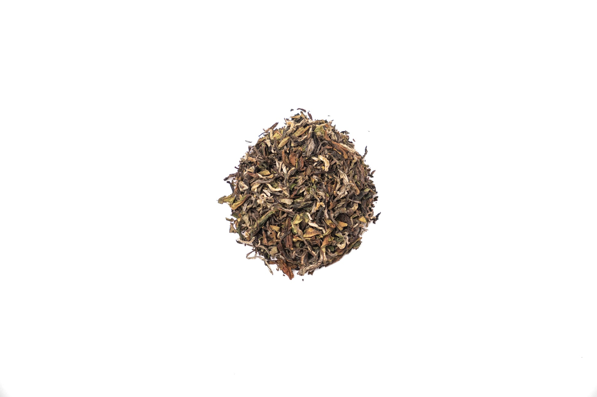 Autumn Oolong - Concordia Style Boutique