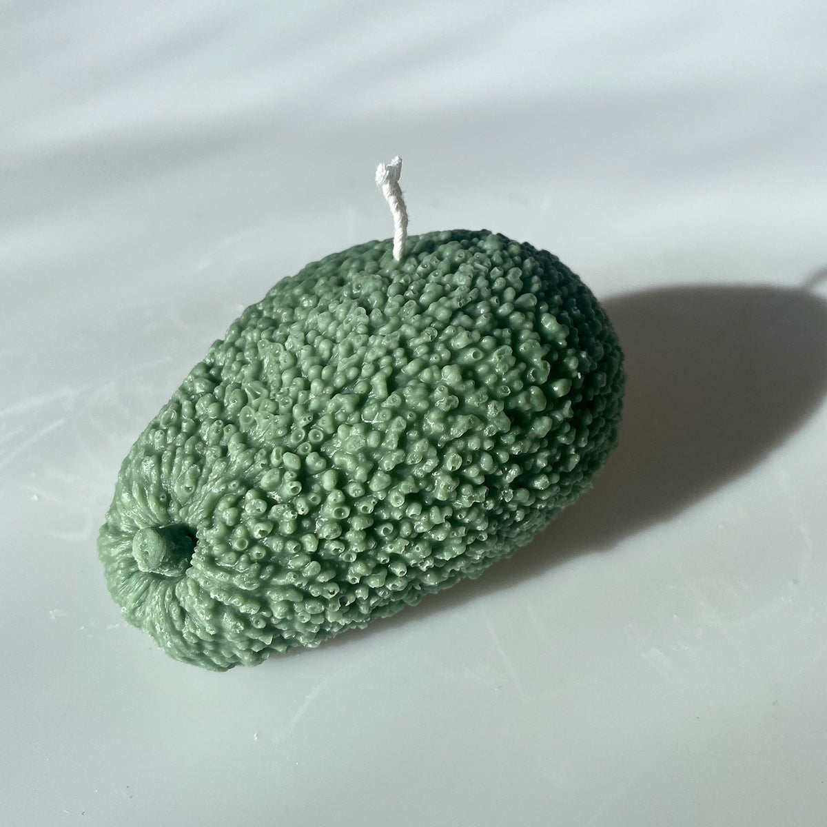 Avocandle - Concordia Style Boutique