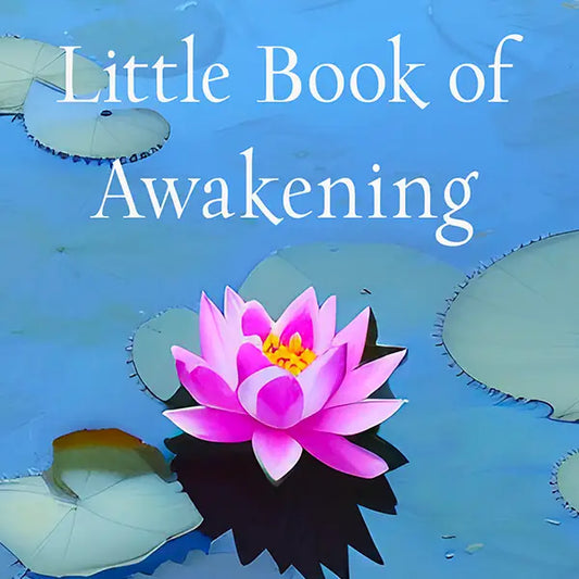 The Little Book of Awakening - Concordia Style Boutique