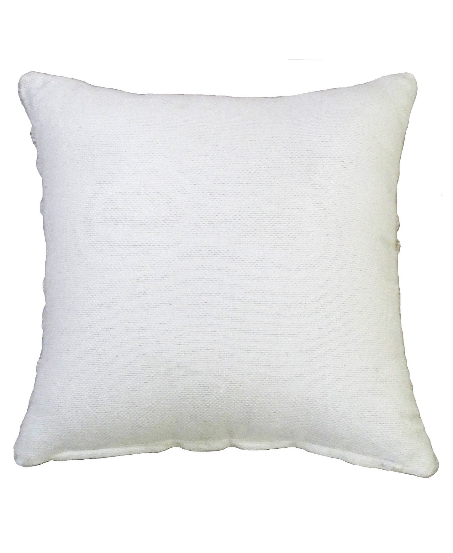 Decorative Accent Throw Pillow  20"x20"