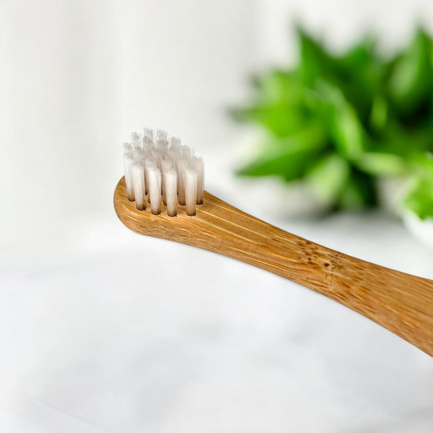Bamboo Cat Toothbrush - Concordia Style Boutique