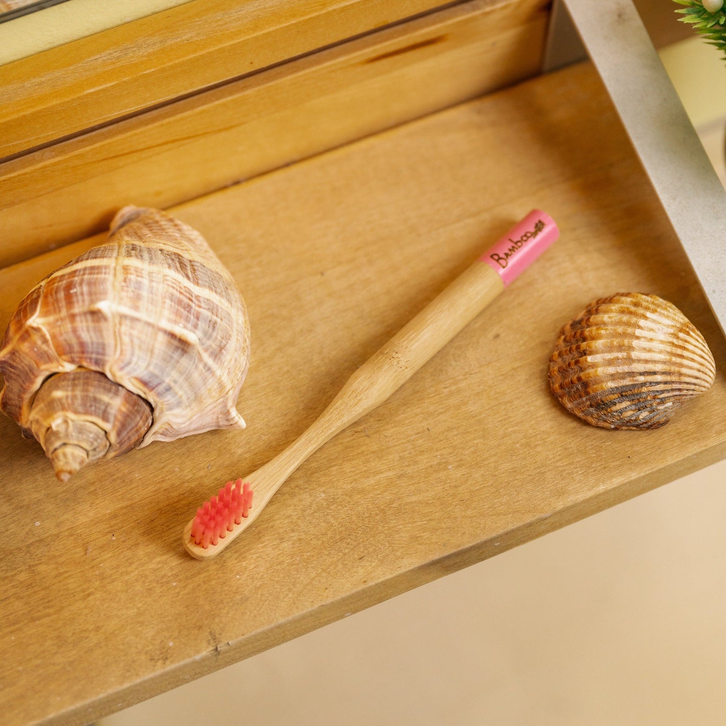 Bamboo Kids Toothbrush | Round Handle - Concordia Style Boutique