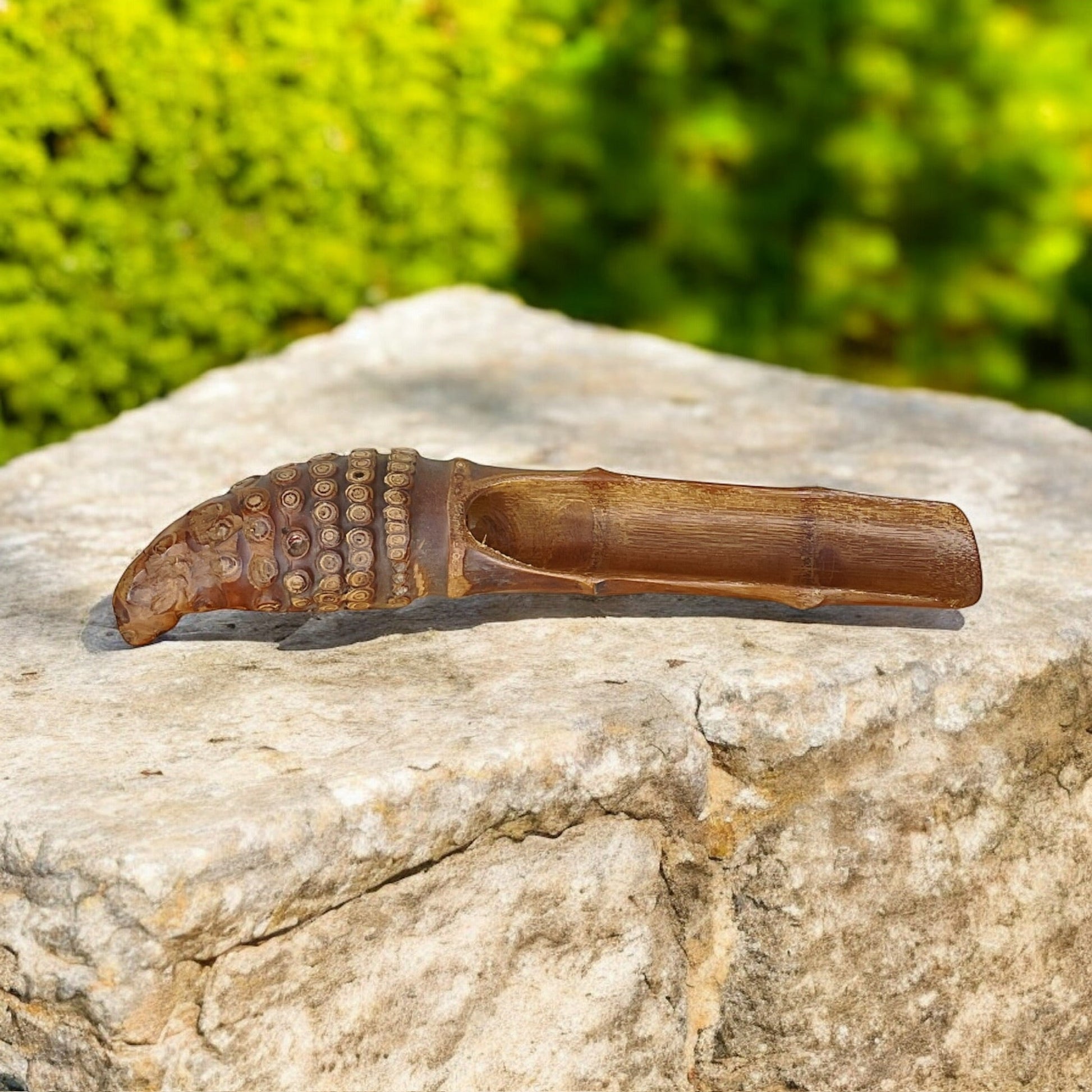 Bamboo Scoop | Cone Root Handle - Concordia Style Boutique