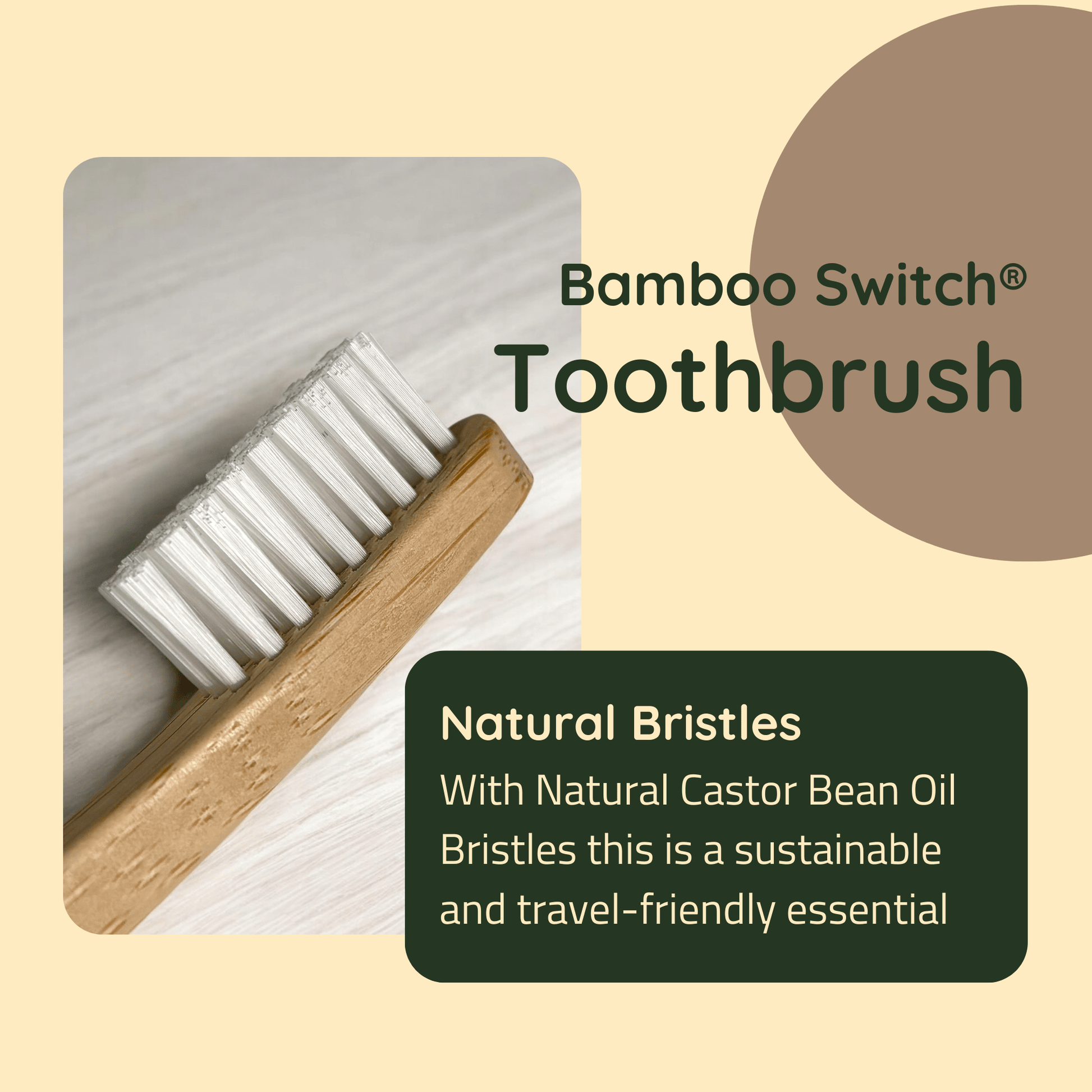 Bamboo Toothbrush | Compostable Bristle - Concordia Style Boutique