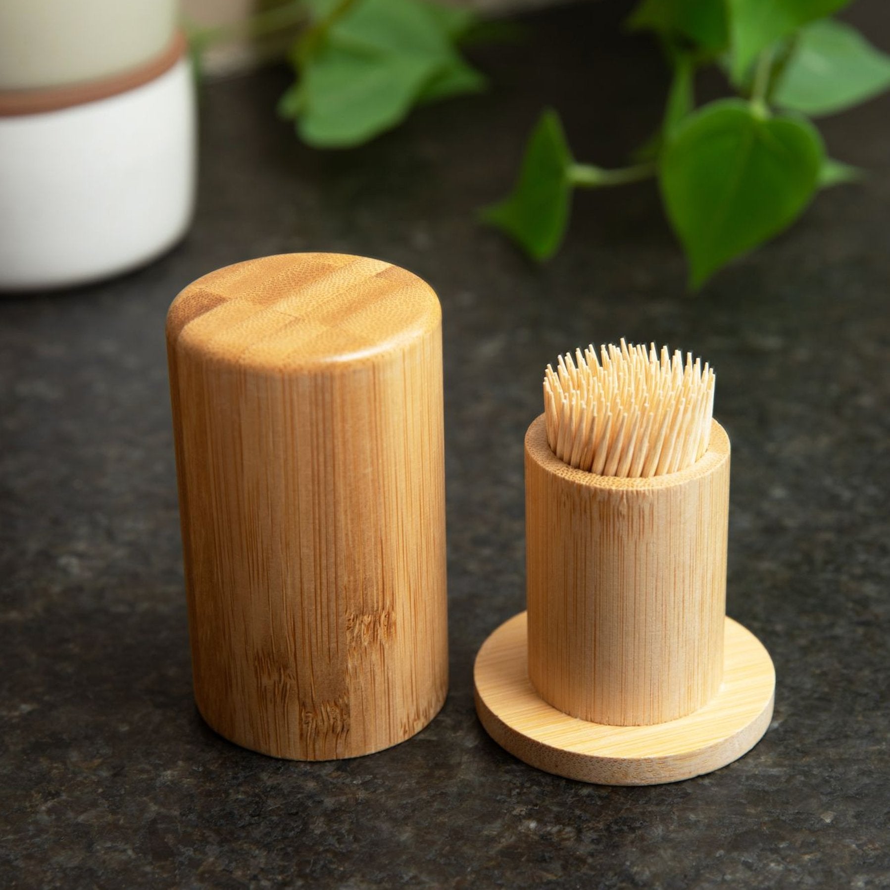 Bamboo Toothpick Holder - Concordia Style Boutique