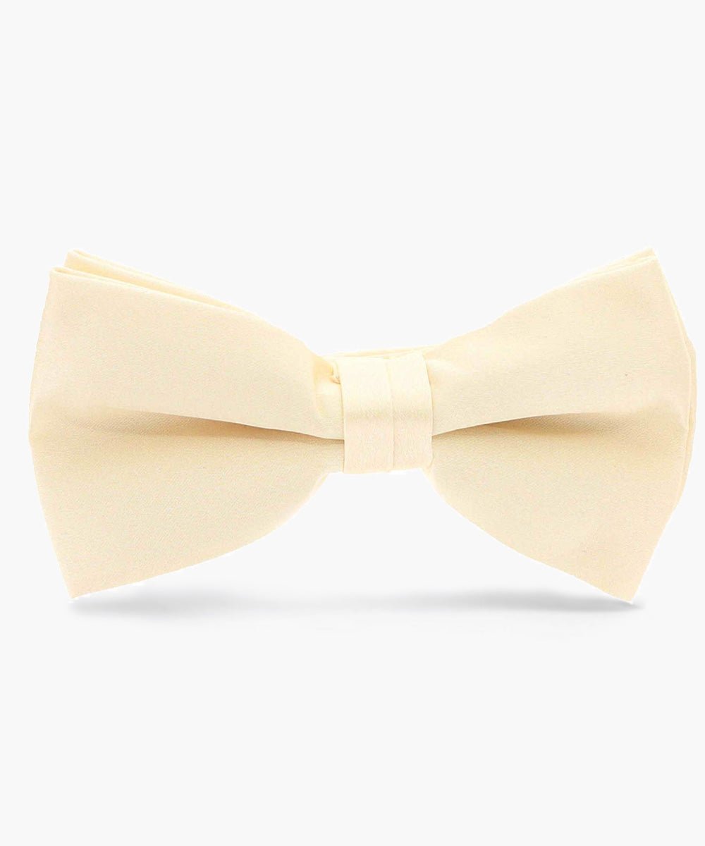 Vittorio Farina Men's Satin Bow Tie in Gift Box