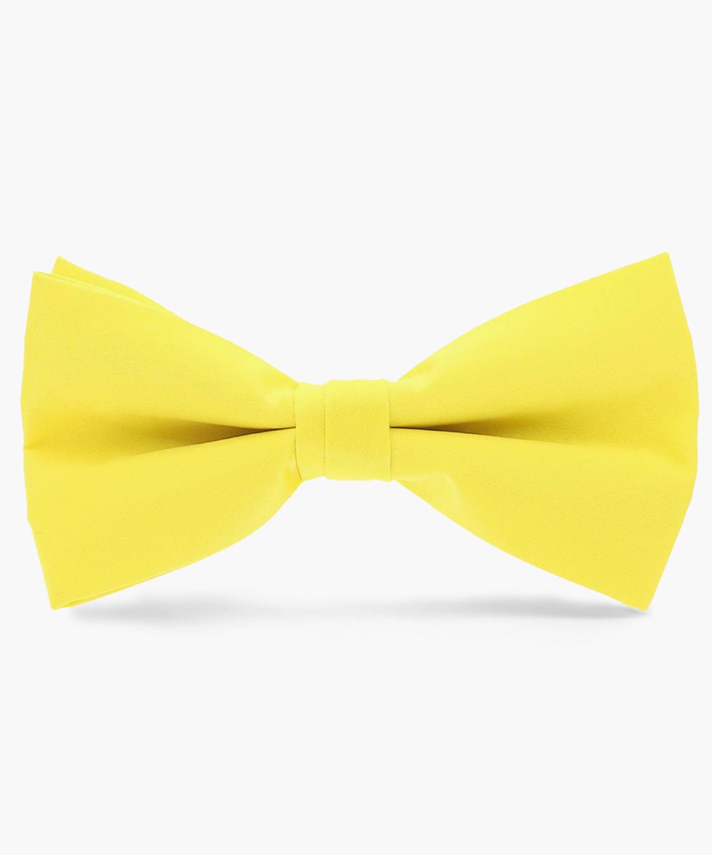 Vittorio Farina Men's Satin Bow Tie in Gift Box