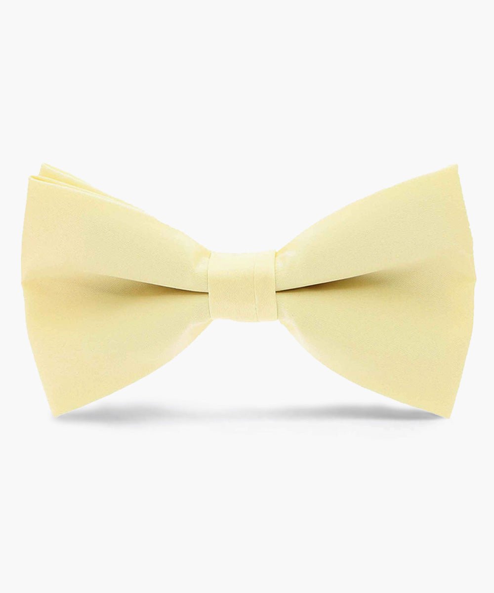 Vittorio Farina Men's Satin Bow Tie in Gift Box