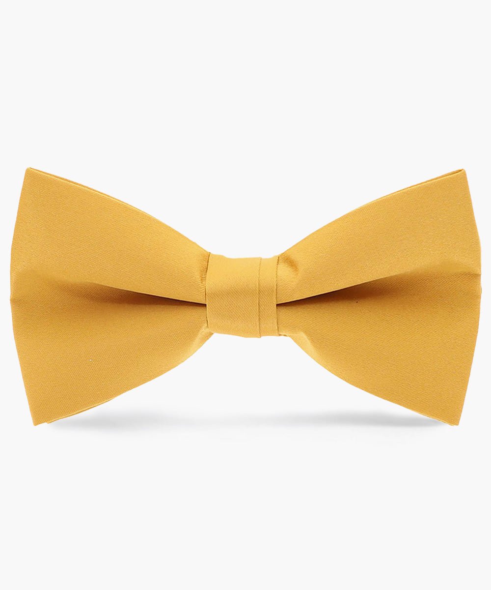 Vittorio Farina Men's Satin Bow Tie in Gift Box