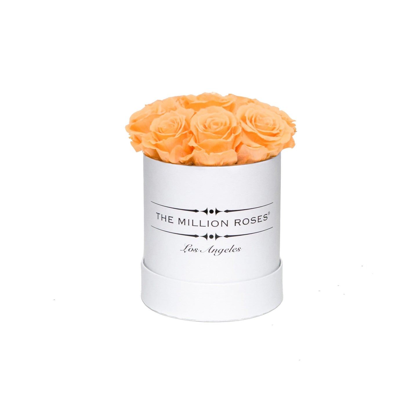 Basic White Box | Peach Roses