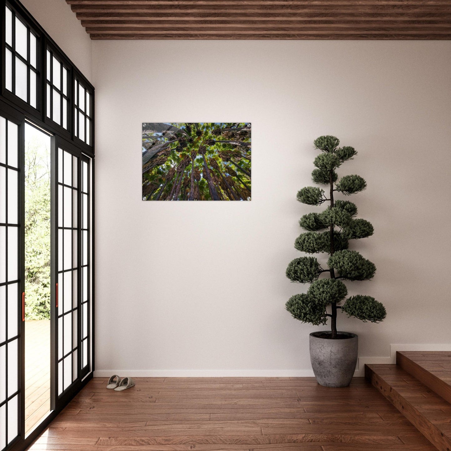 "Under the Canopy: Natural Wonder of Israel" Acrylic Print