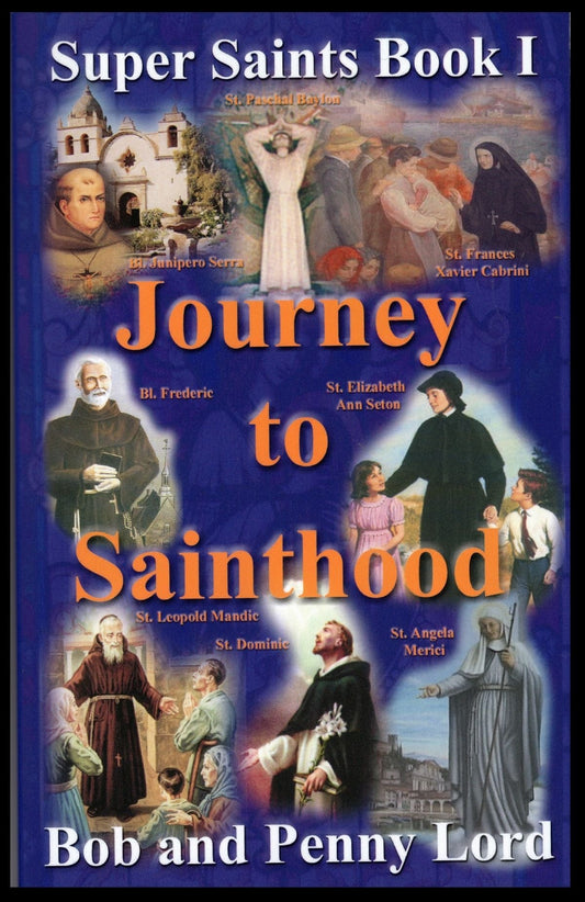 Journey to Sainthood Book