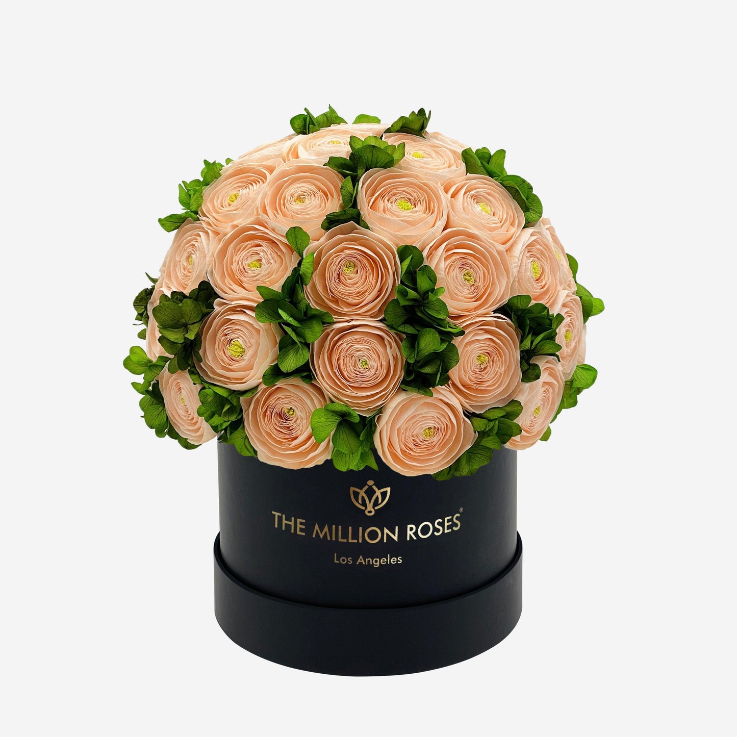 Classic Black Box | Peach Persian Buttercups & Green Hydrangeas