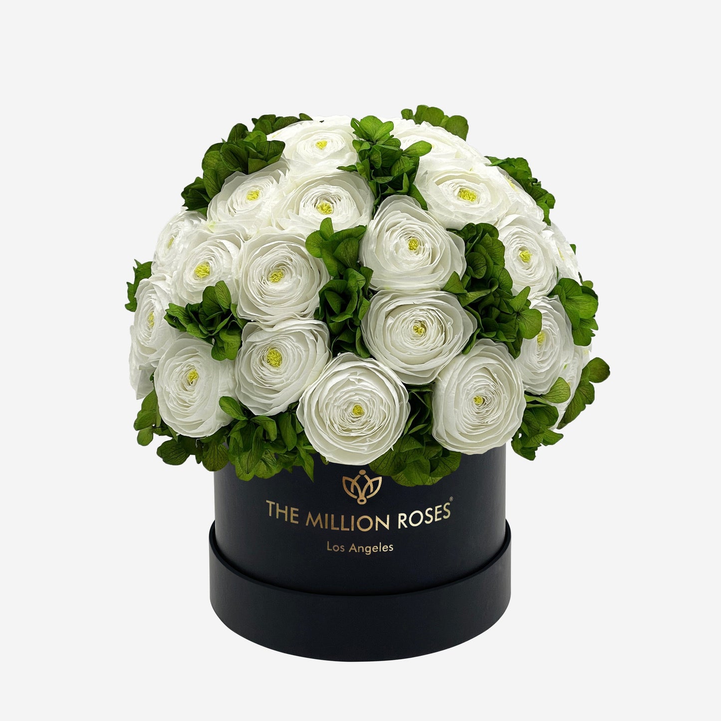 Classic Black Box | White Persian Buttercups & Green Hydrangeas