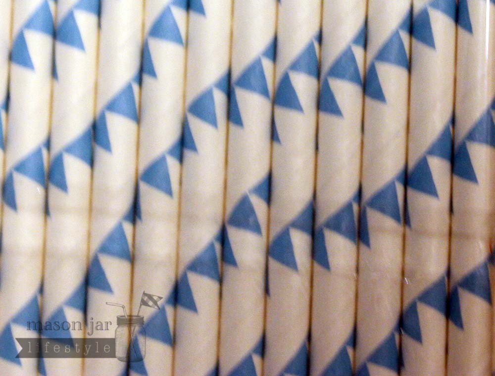 Random 24 Pack Paper Straws - Concordia Style Boutique