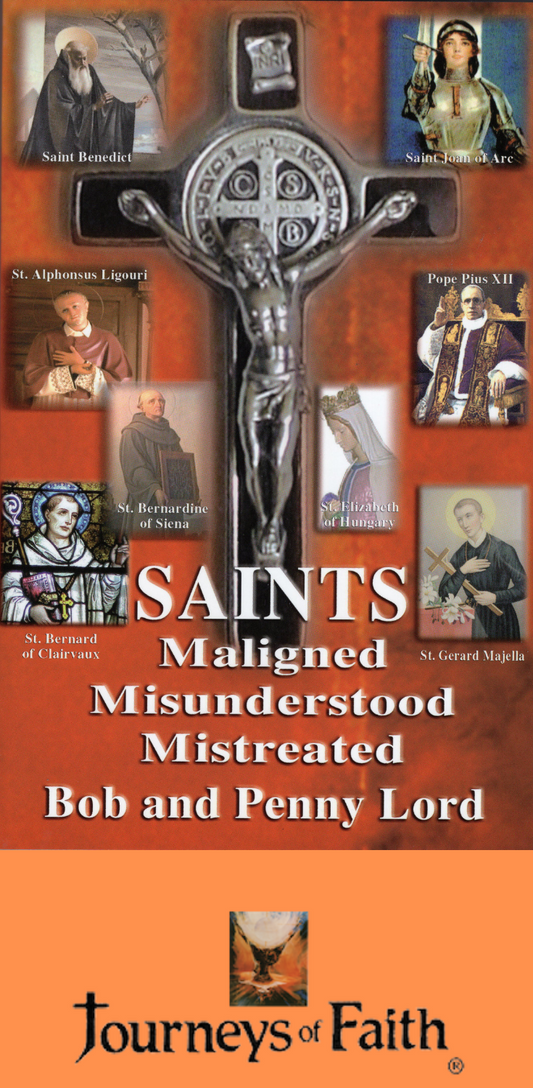 Saints Maligned Misunderstood and Mistreated Book