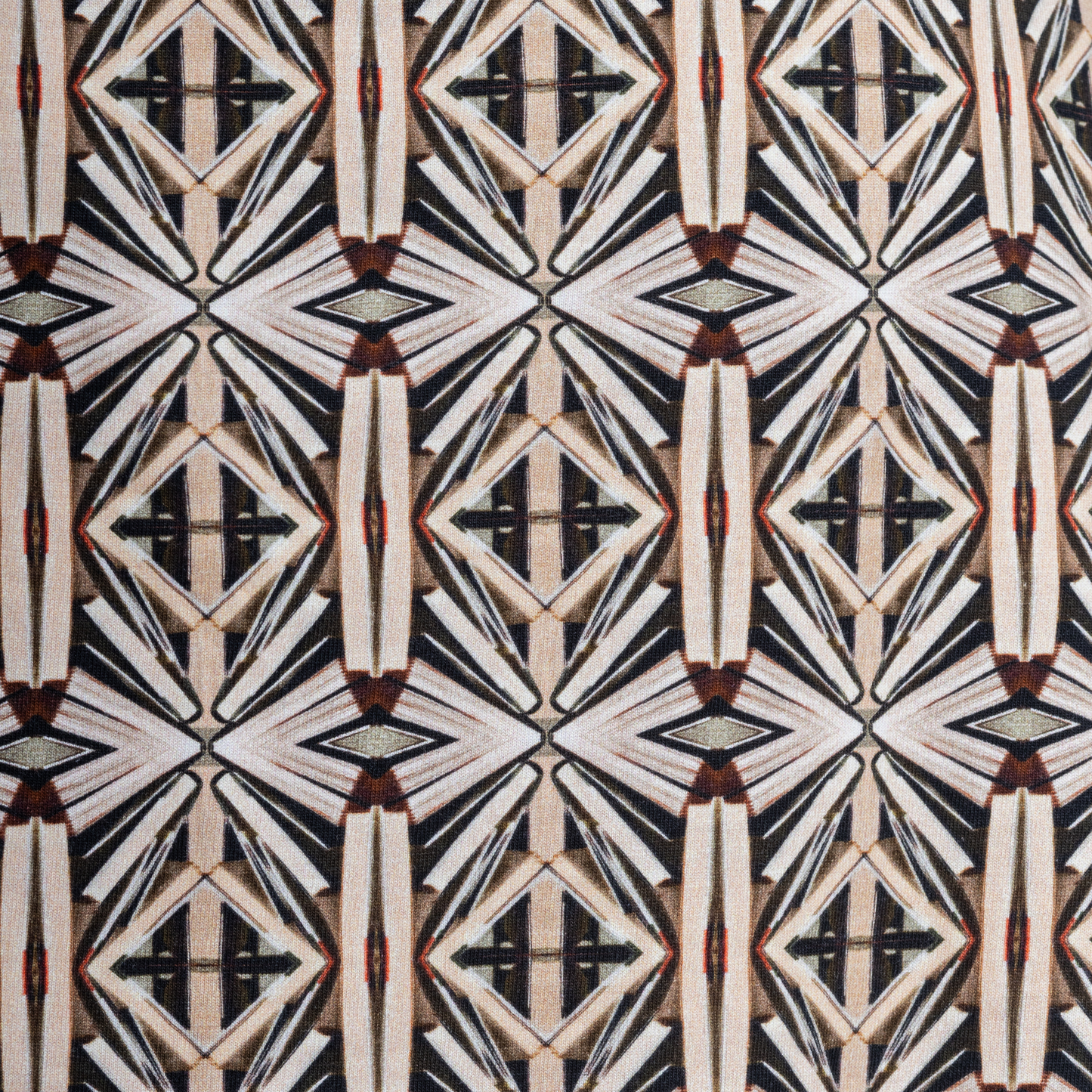 Literary Illusion Belted A-Line Dress (No Waist Seam)