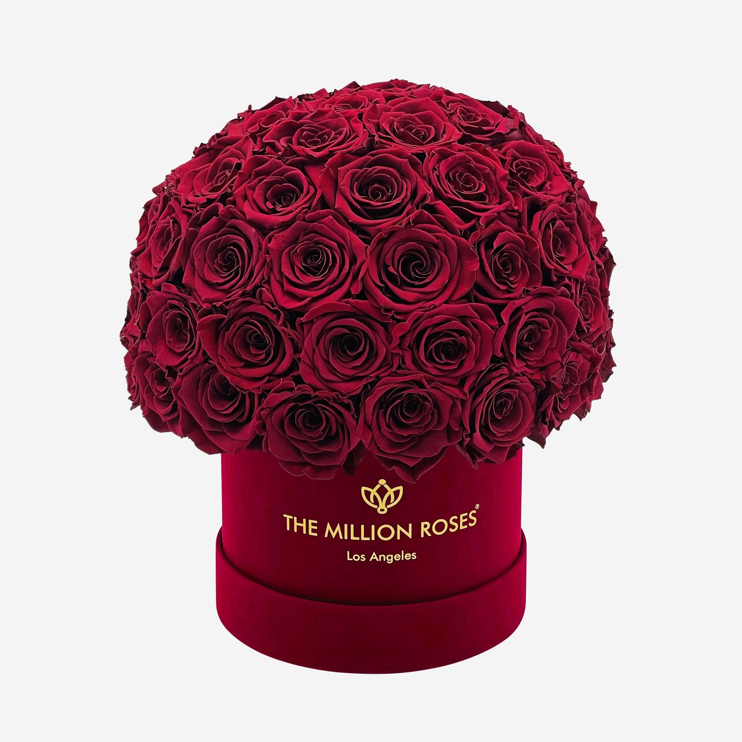 Classic Bordeaux Suede Superdome Box | Burgundy Roses