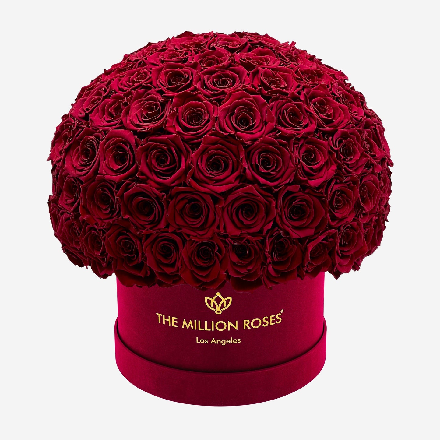 Supreme Bordeaux Suede Superdome Box | Burgundy Roses