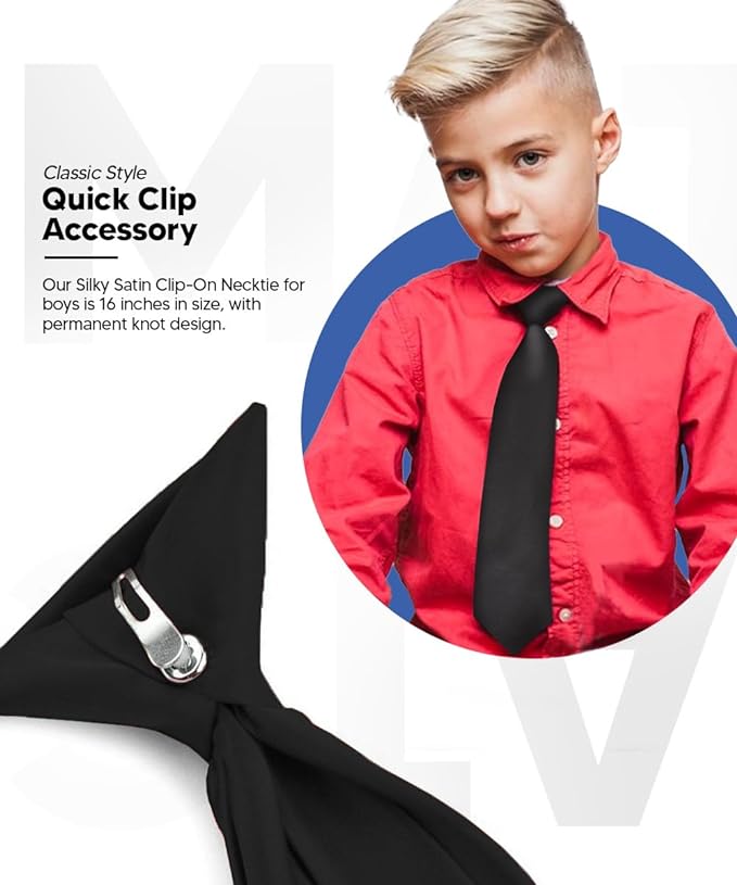 Vittorio Farina Boy's Satin Clip Necktie