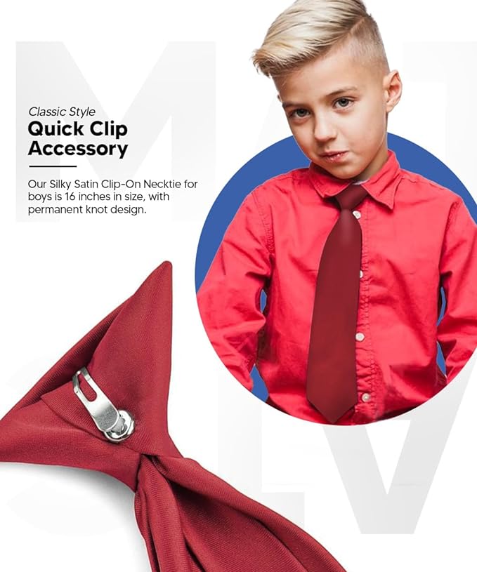 Vittorio Farina Boy's Satin Clip Necktie