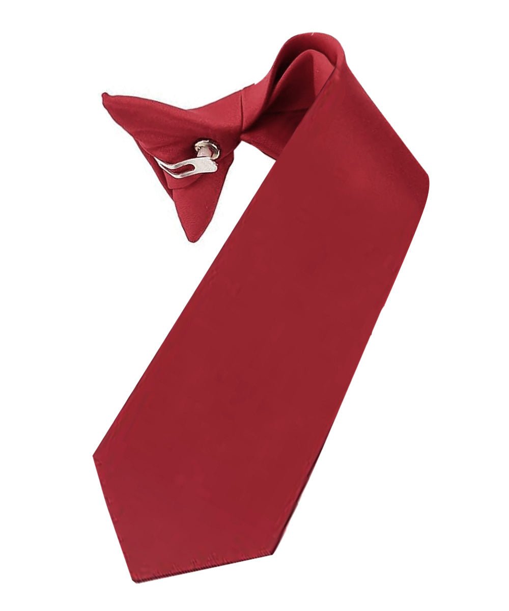 Vittorio Farina Boy's Satin Clip Necktie