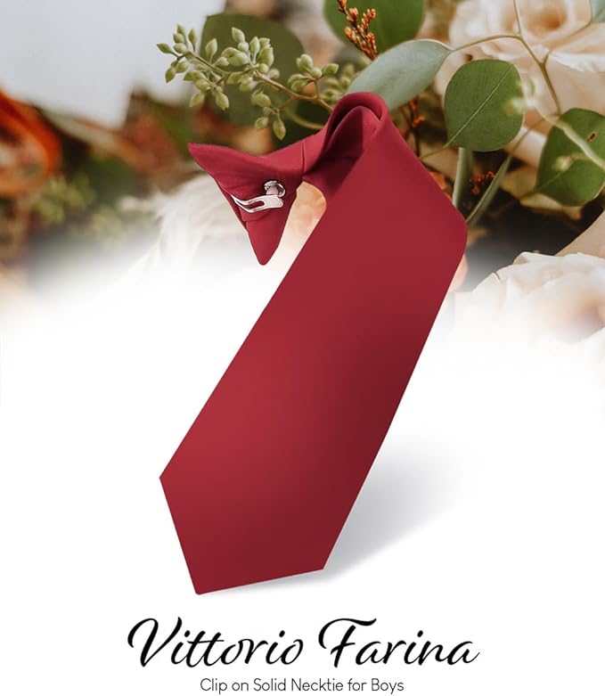 Vittorio Farina Boy's Satin Clip Necktie