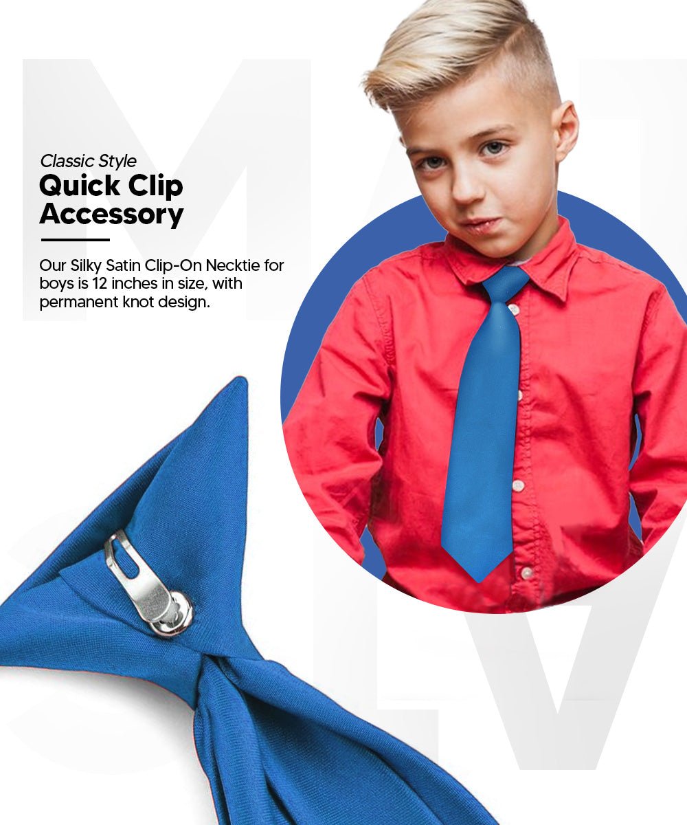Vittorio Farina Boy's Satin Clip Necktie