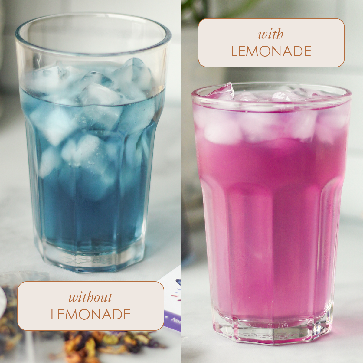 Butterfly Pea Flowers - Concordia Style Boutique