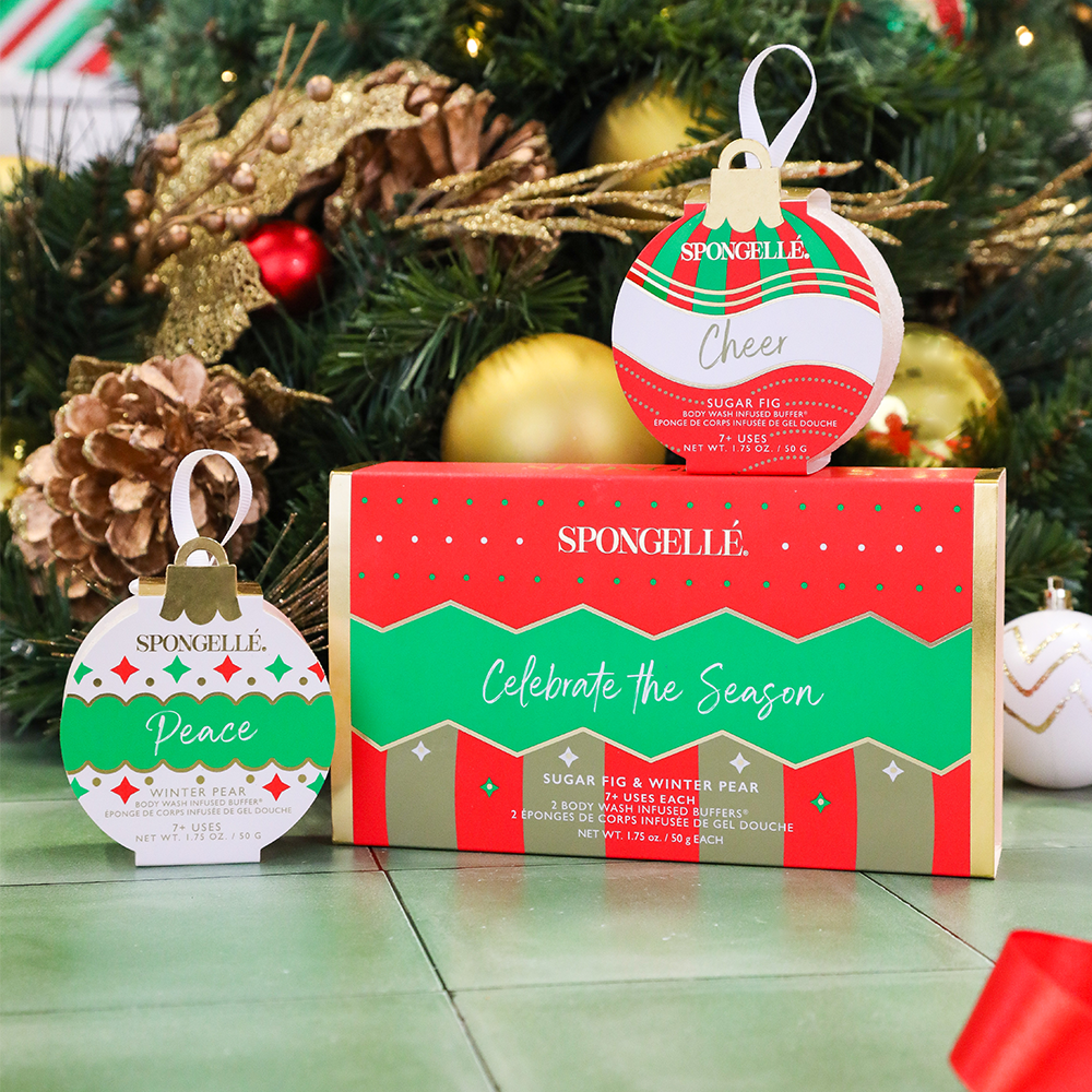 Celebrate the Season | Holiday Ornament Gift Set - Concordia Style Boutique